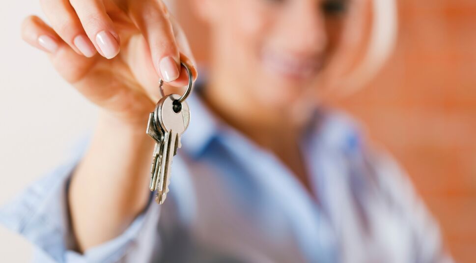 iStock_000015565873_Large_bearb