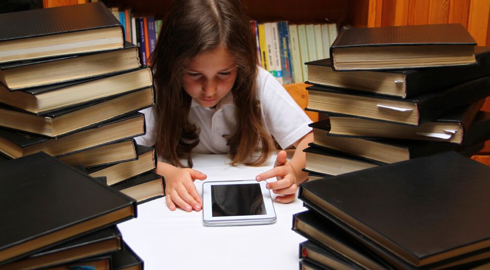 iStock_000044052748_Large_bearb