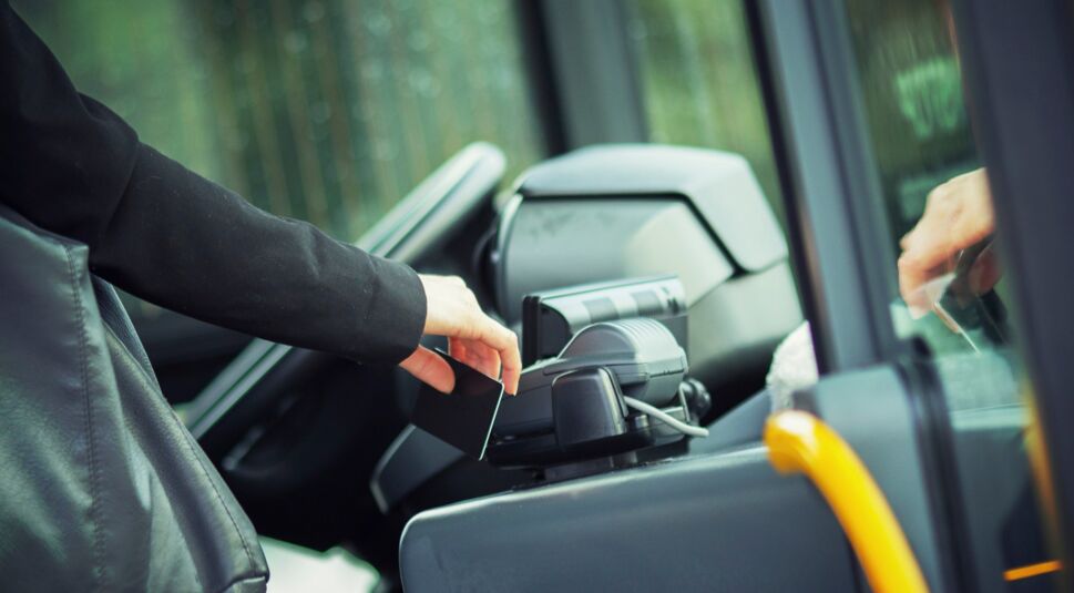 iStock_000053686120_Large_bearb