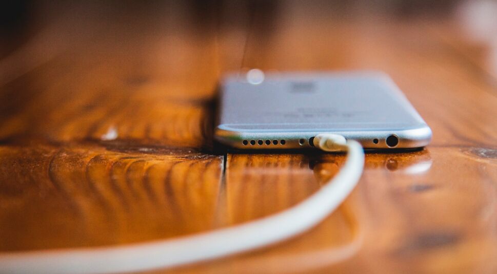 iStock_000054199126_XXXLarge_bearb