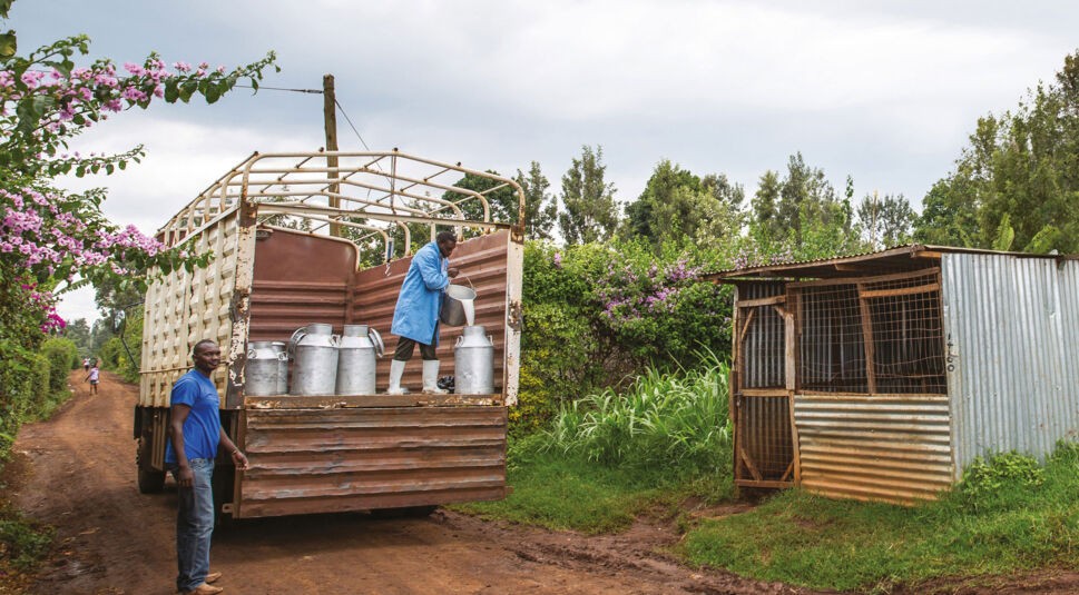 17705450809_3c3fe520d1_k