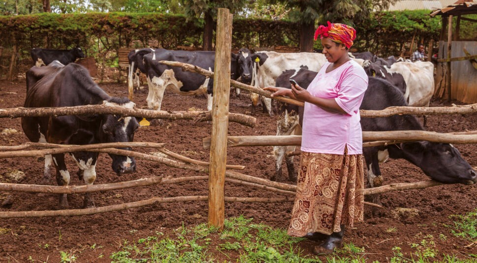 17888677762_a918756e4a_k