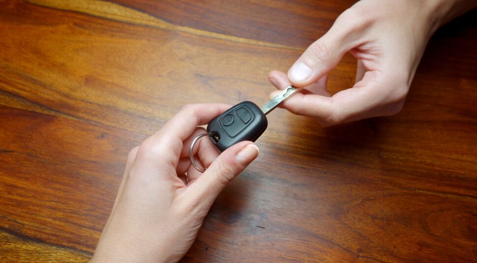 iStock_000036873040_Large_bearb