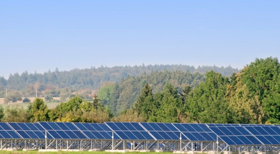 iStock_000048574250_Large_bearb