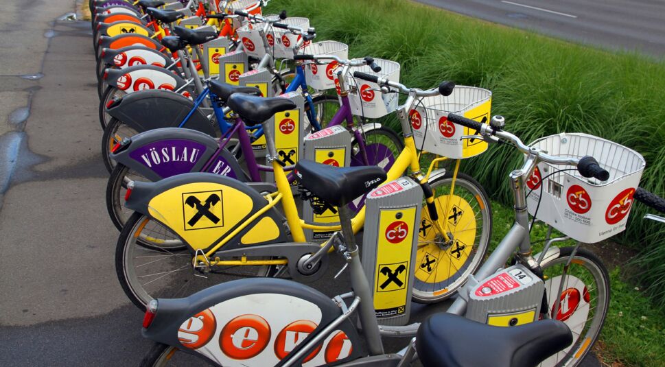 iStock_000057588832_Large_bearb