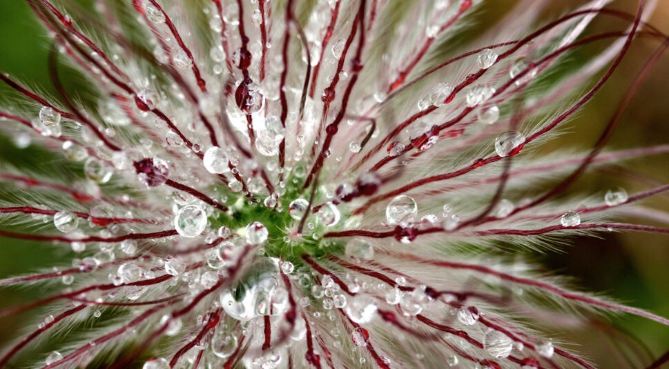 NaturTechnik_2_20151105