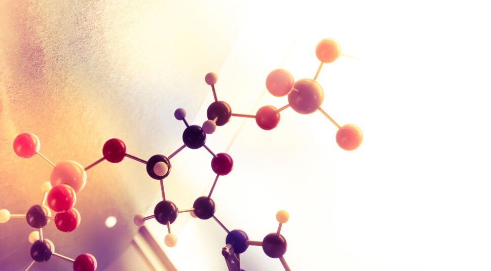 Science Molecule, Molecular DNA Model Structure, business teamwo