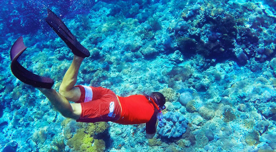 DCIM100GOPROGOPR4510.