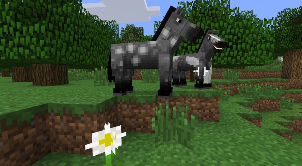 13886503524_3a77fa61d8_o