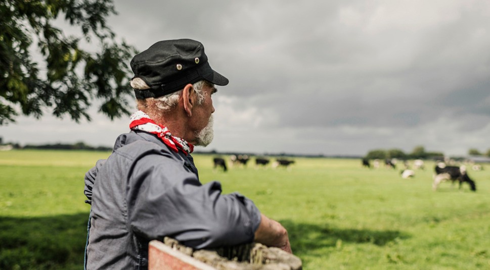 moocall_kuh_iot_internetofthings_featured_vodafone_3