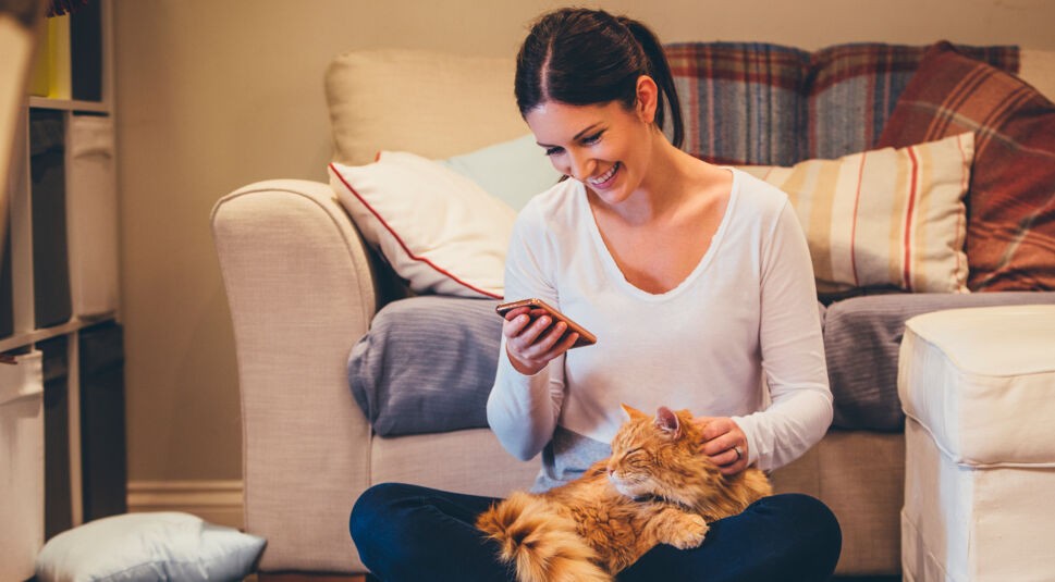 Frau mit Katze schaut auf Smartphone.