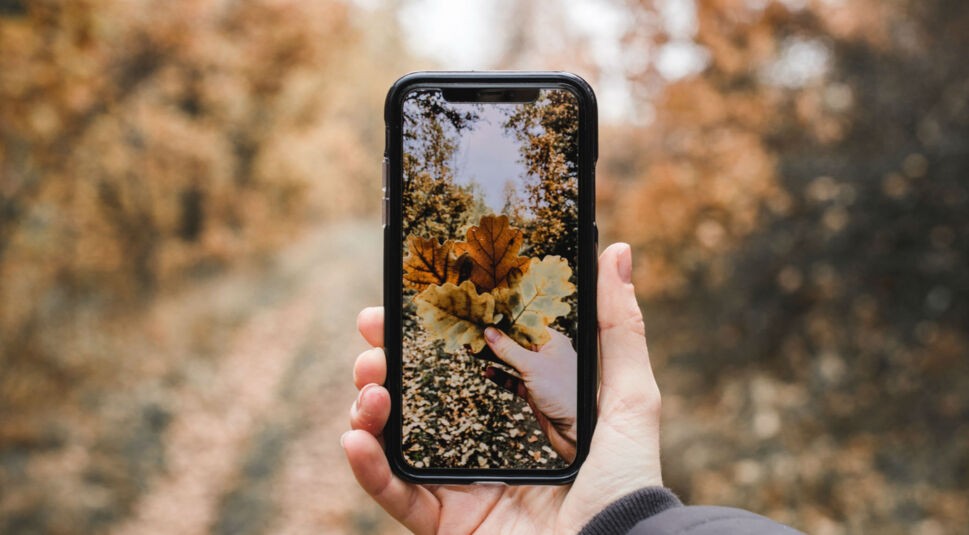 iPhone X nimmt ein Foto mit Herbstlaub auf.