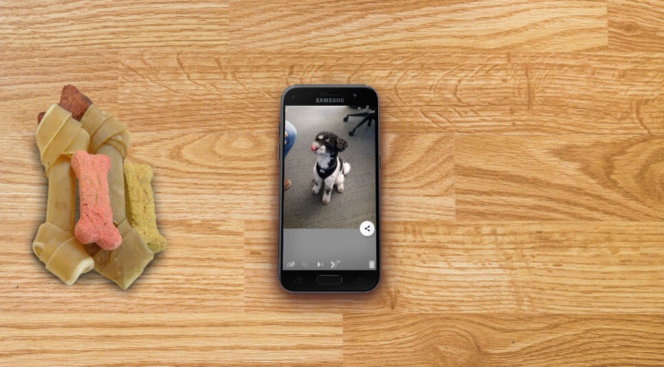 Screenshot einer Aufnahme in der Motion Stills-App.