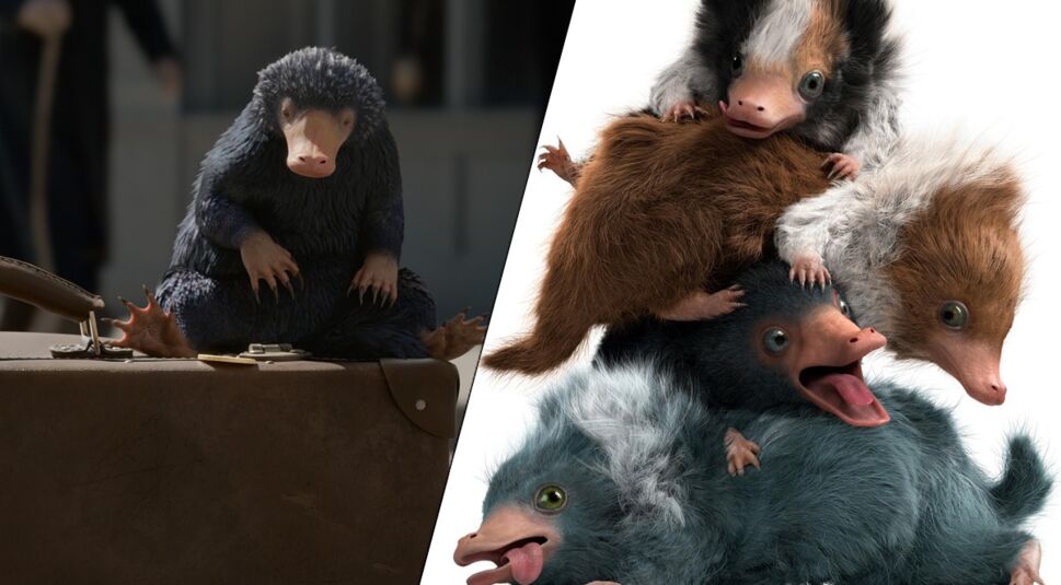 Kompositbild aus Pressematerial © 2018 Warner Bros.