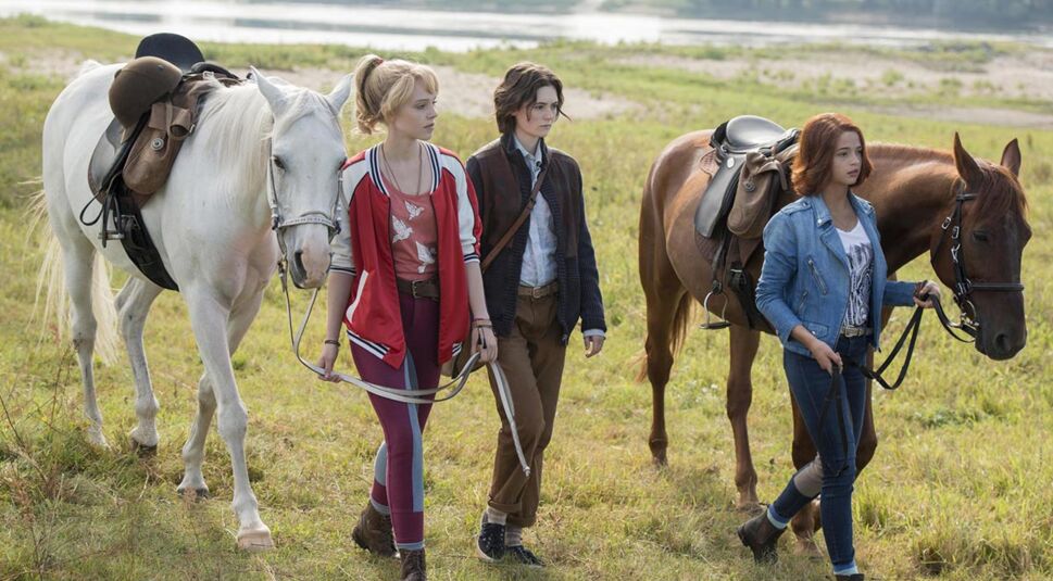 © DCM Film Distribution