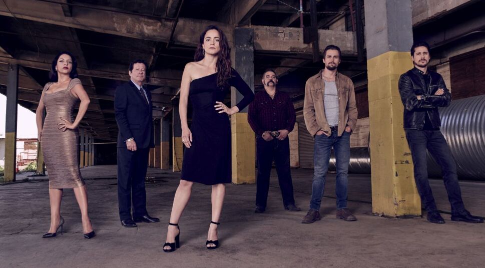 Alice Braga, Veronica Falcon