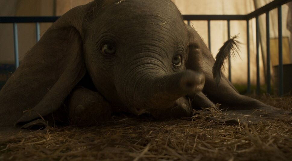 Babyelefant Dumbo wird wegen seiner großen Ohren verspottet