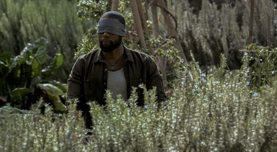 Trevante Rhodes in Bird Box