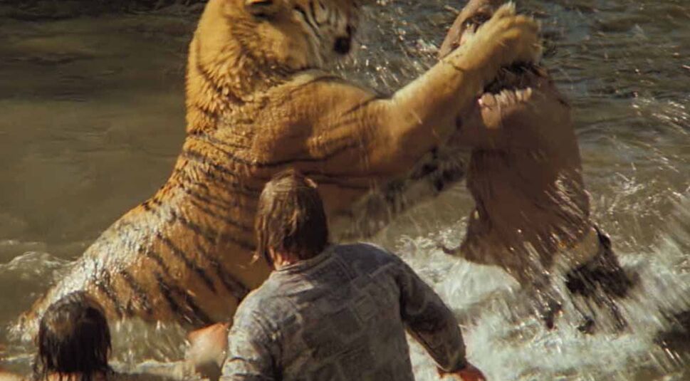  Ungleiche Größenverhältnisse: Ein Tiger mit seinen "Schauspielkollegen" | © VZ-Handelsgesellschaft mbH