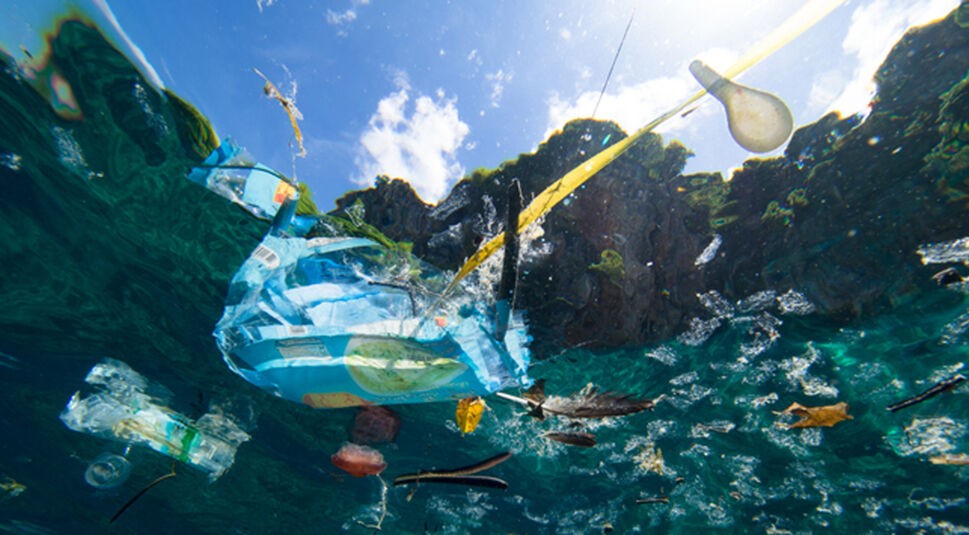 Plastik vermeiden: Diese Apps und Geräte helfen dabei