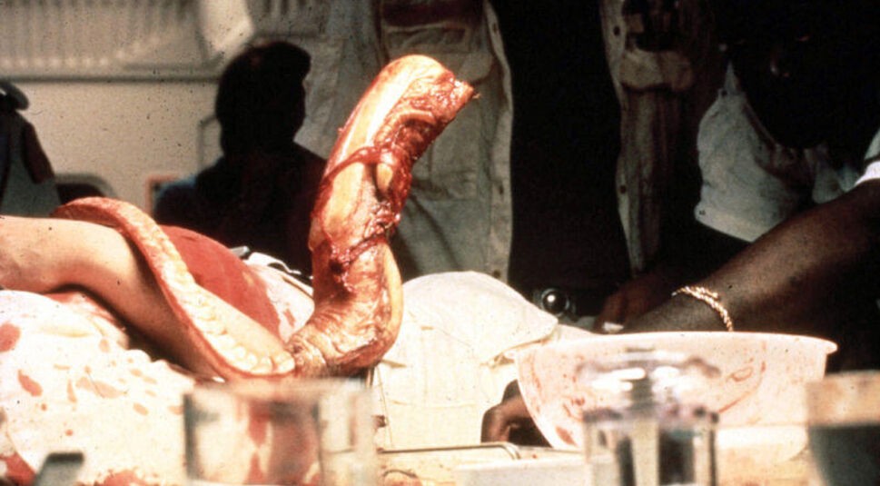  Noch ist das Monster klein und hilflos. Aber nicht mehr lange ... | © 20th Century Fox