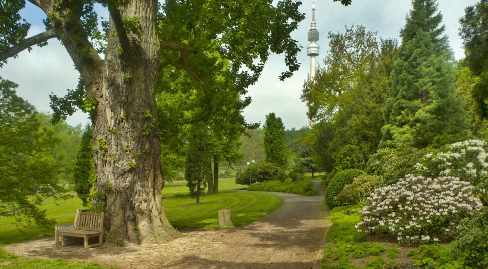 Pokémon Go: Kartenvorverkauf für Dortmund-Event gestartet