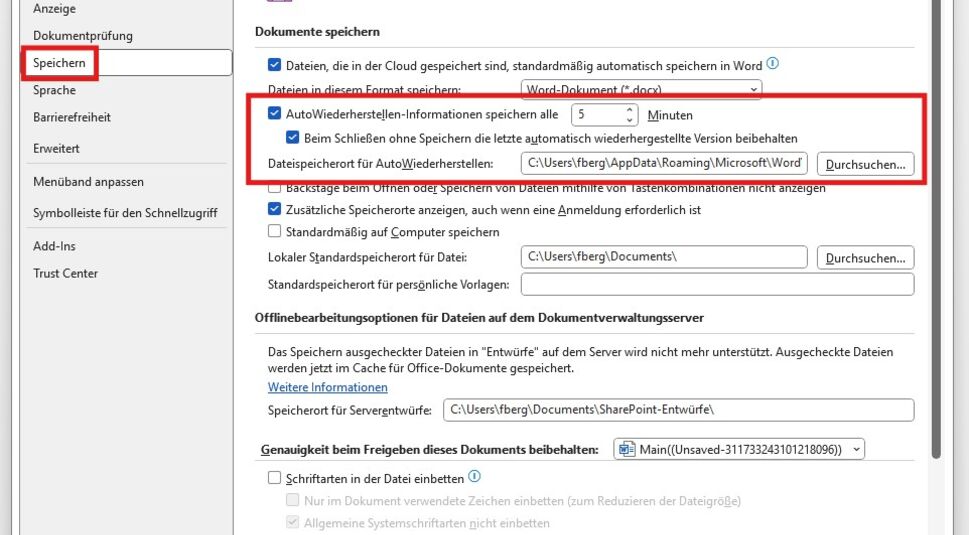 Screenshot der Word Optionen