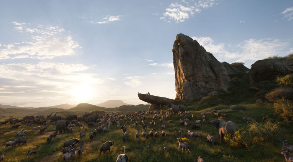 Königsfelsen in "Der König der Löwen": Details zum Dreh des Realfilms