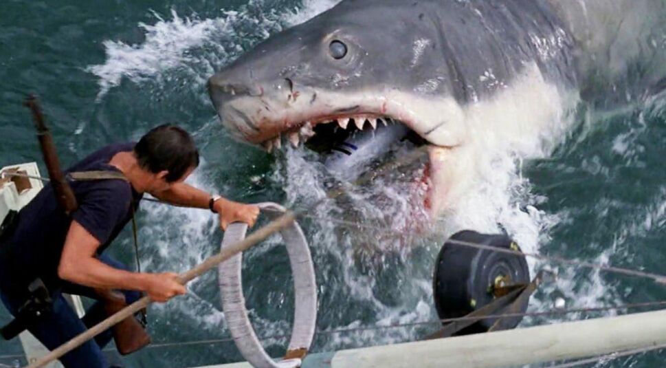 Bild aus Der weiße Hai