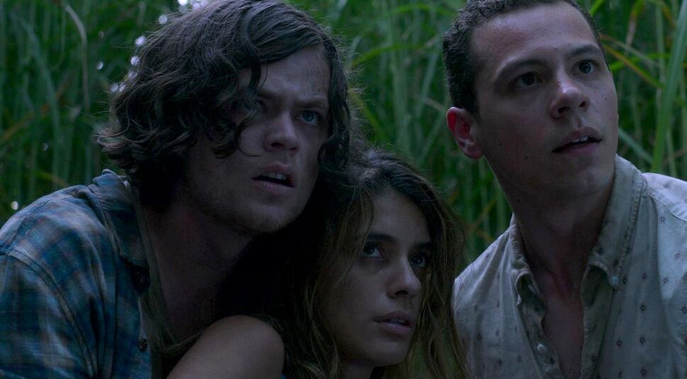 Der Cast von Im hohem Gras bei Netflix