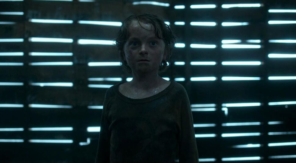 Der Cast von Netflix' Im hohen Gras