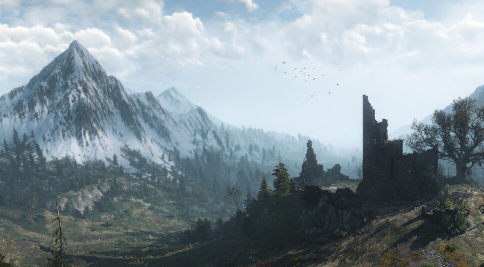 The Witcher 3 Tipps