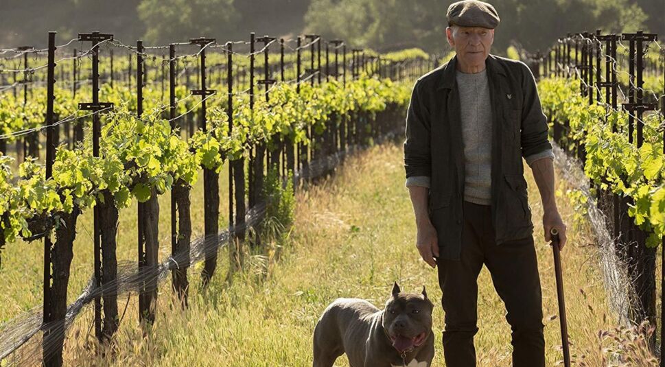 Patrick Stewart in Star Treck: Picard