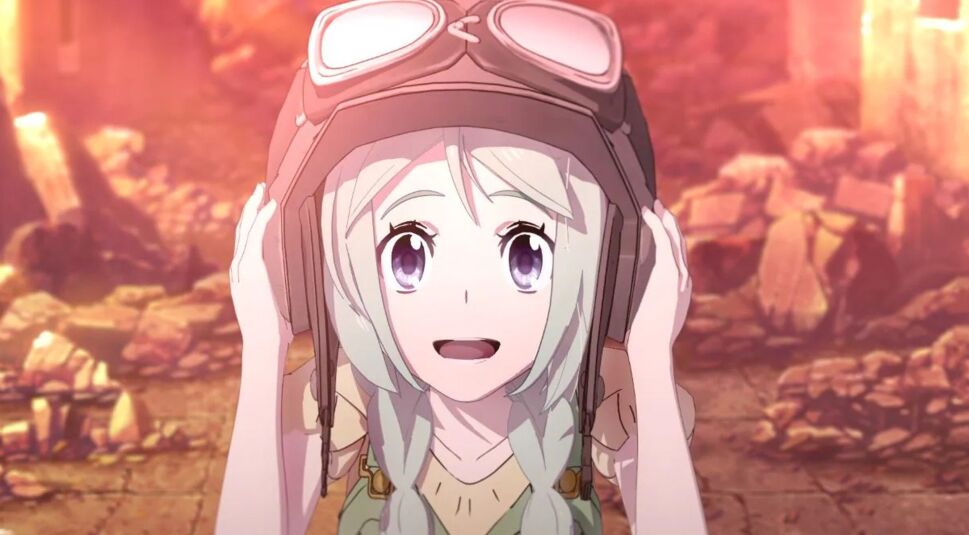 Bild aus Cagaster of an Insect Cage