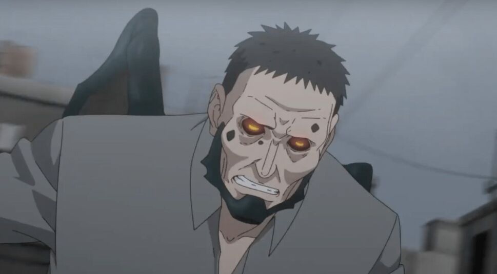 Bild aus Cagaster of an Insect Cage