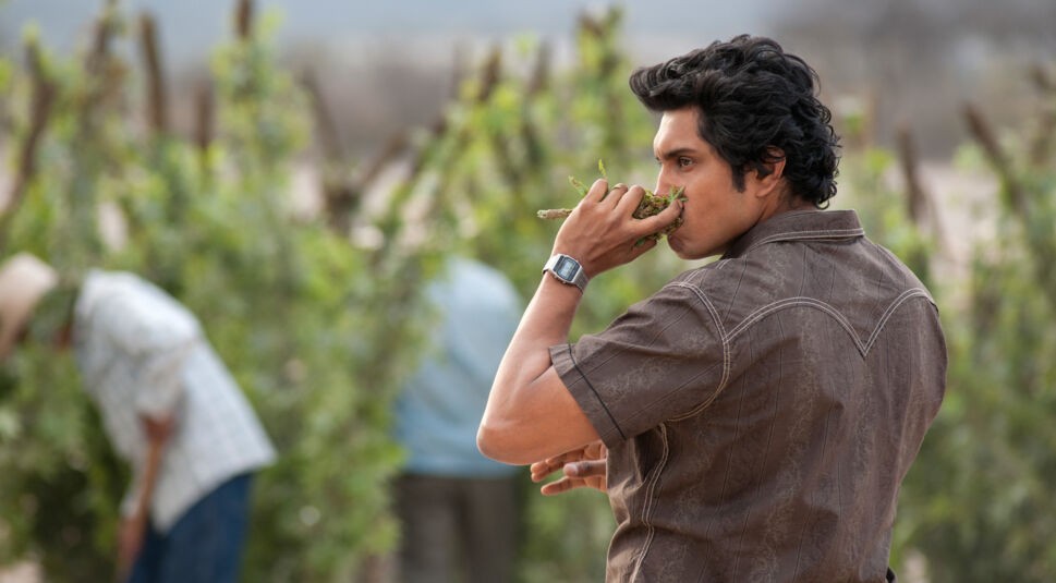 Tenoch Huerta in Narcos Mexico