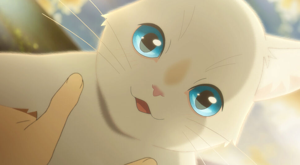 Bild aus Um ein Schnurrhaar