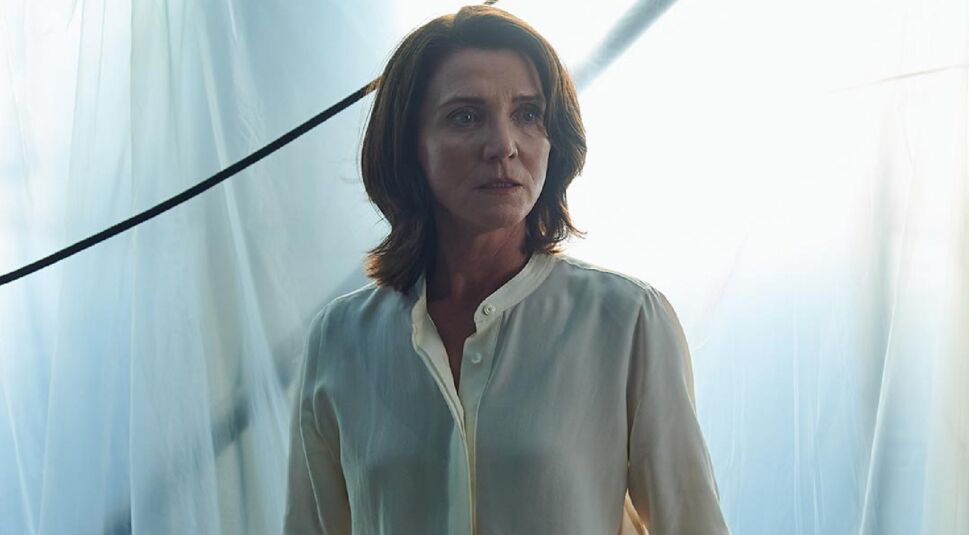 Michelle Fairley in Gangs of London