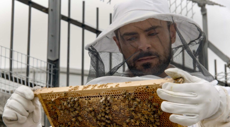 Zac Efron in Um die Welt mit Zac Efron bei Netflix