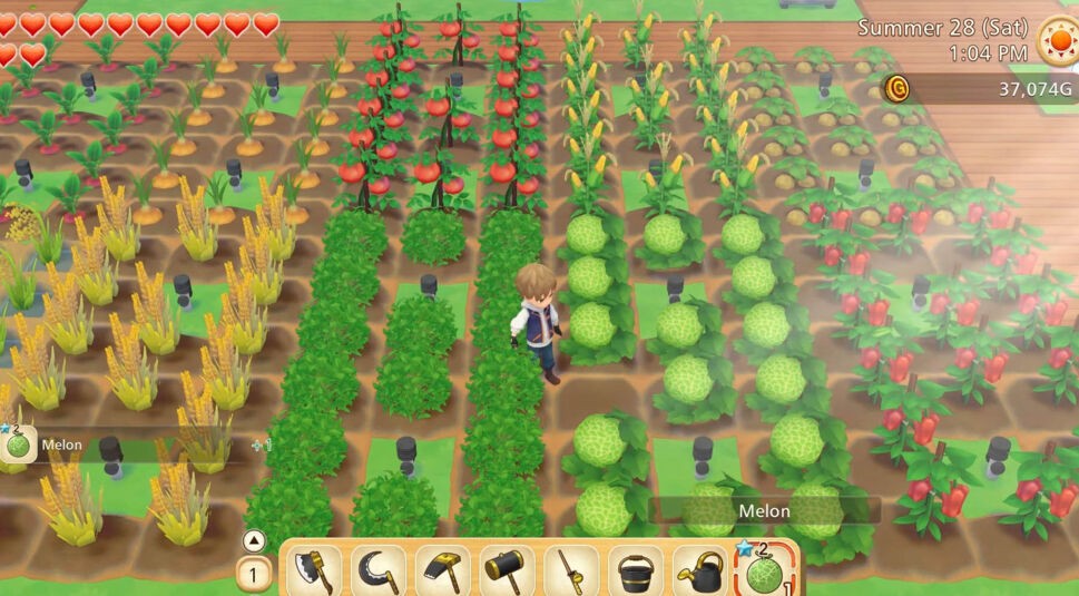 Ein Feld mit vielen Feldfrüchten in Story of Seasons: Pioneers of Olivetown