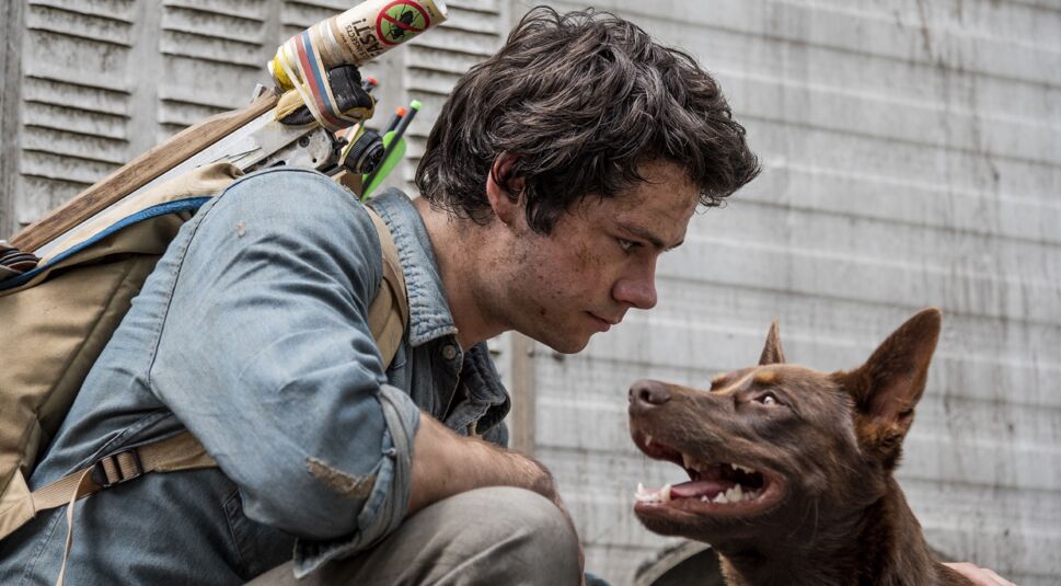 Dylan O'Brien in Love and Monsters