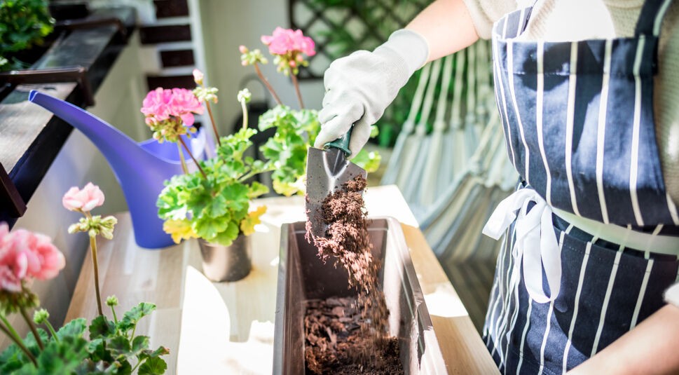 Eine Frau schaufelt Erde in einen Blumenkasten auf dem Balkon.