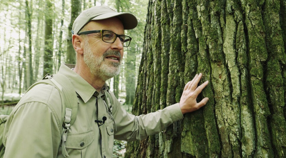 Peter Wohlleben steht im Wald