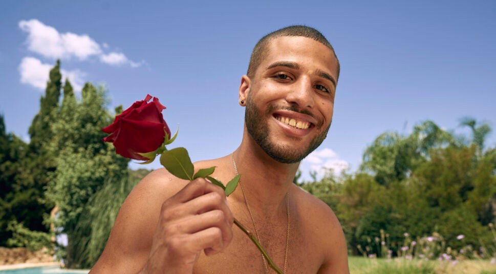 David Bachelor in Paradise