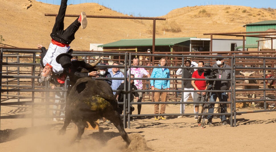Johnny Knoxville wird von einem Bullen in die Luft geschleudert. Ein Stunt im Film Jackass 4 (Jackass Forever).
