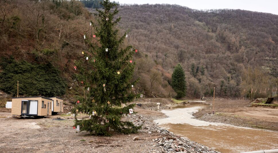 Ein Weihnachtsbaum steht im Ahrtal, das von der Flut im Sommer 2021 schwer getroffen wurde.