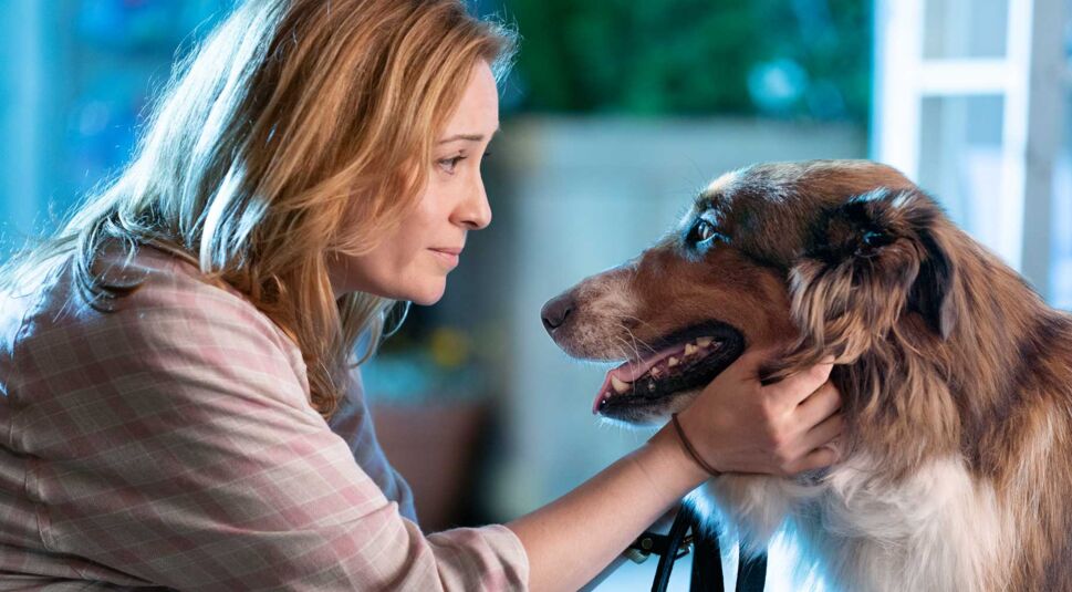 Camille Sullivan in Rettungshund Ruby