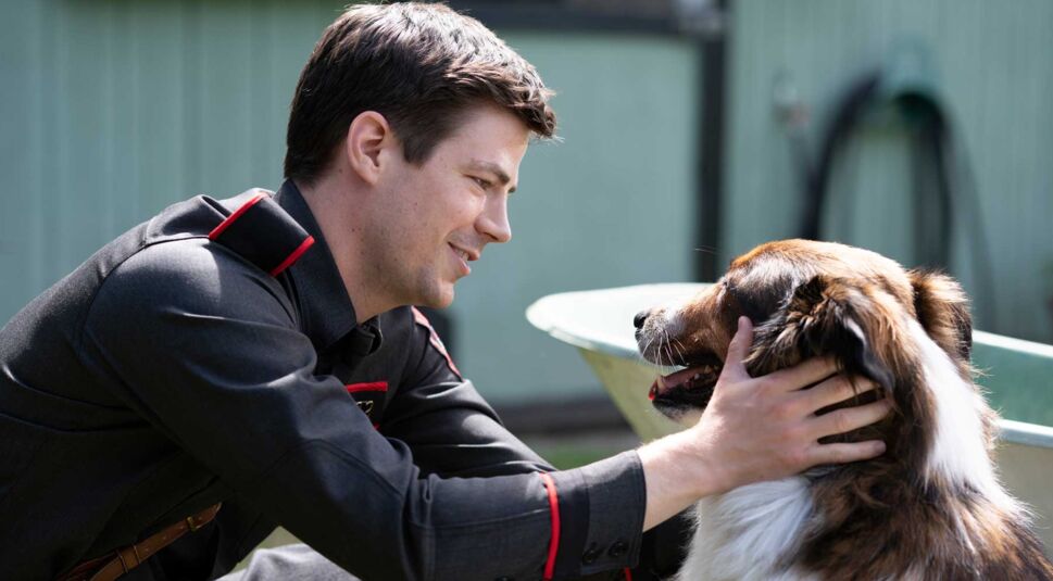 Grant Gustin in Rettungshund Ruby