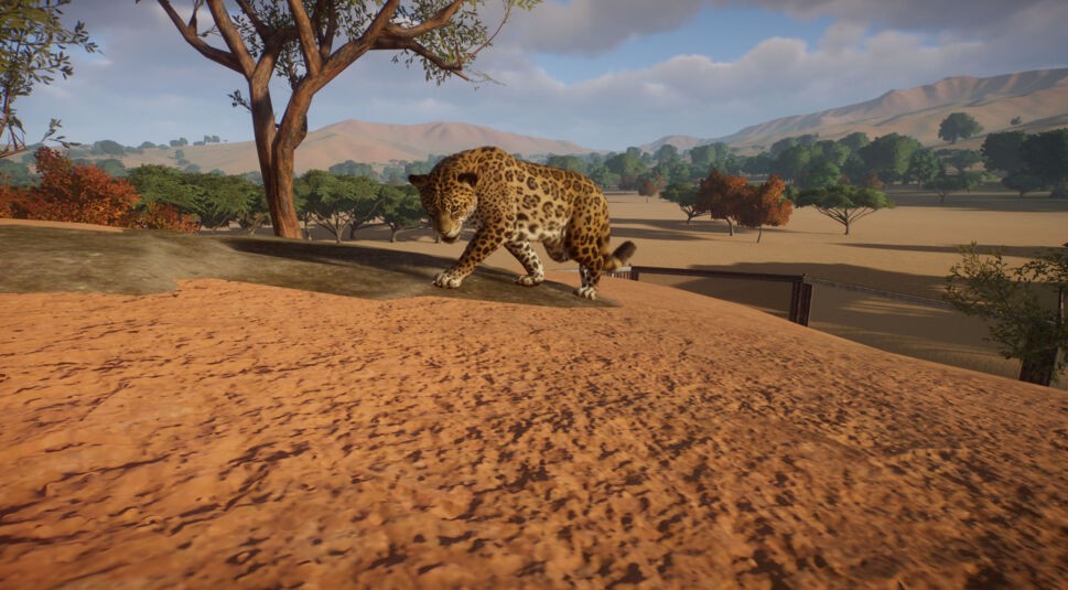 Ein Jaguar in Planet Zoo