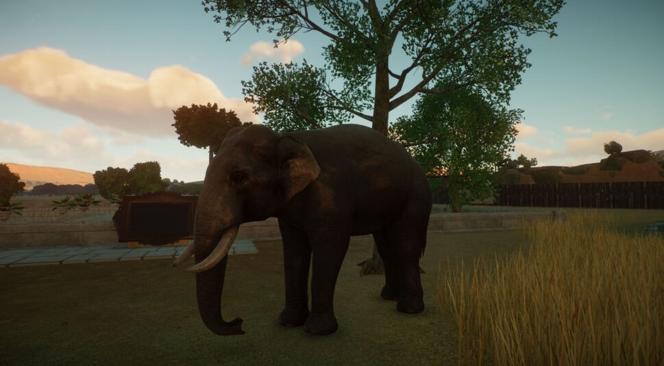 Ein indischer Elefant in Planet Zoo